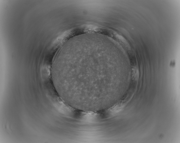 X0000089950621200707201927