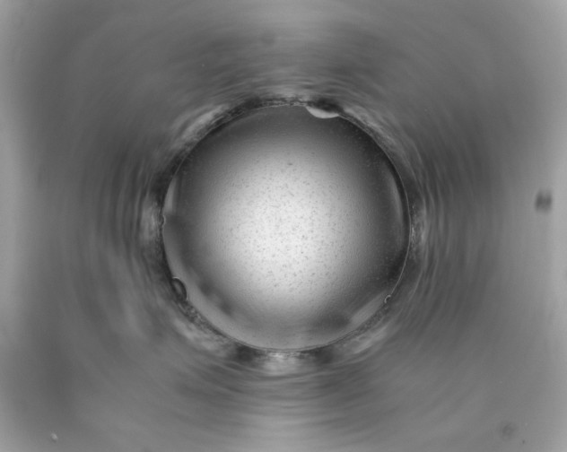 X0000089950623200707201927