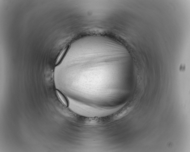 X0000089950624200707201927