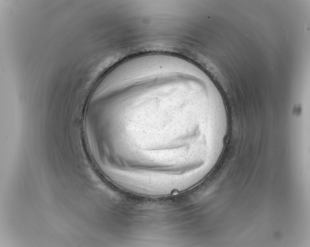 X0000089950625200707201926