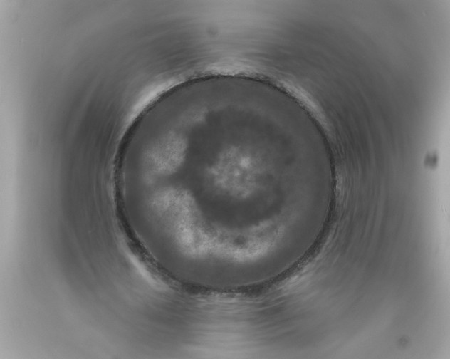 X0000089950626200707201926