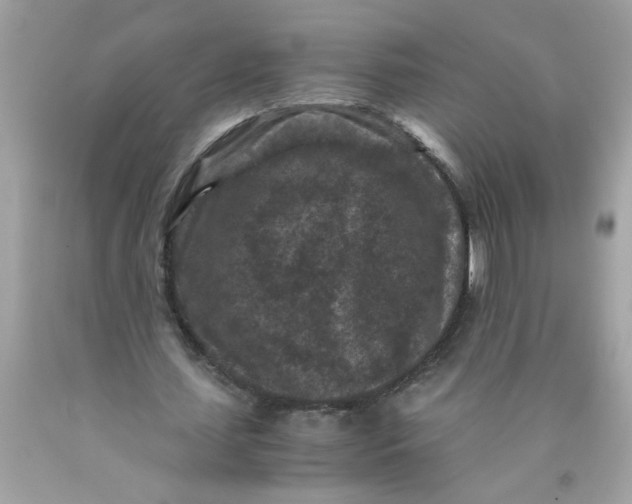 X0000089950627200707201926