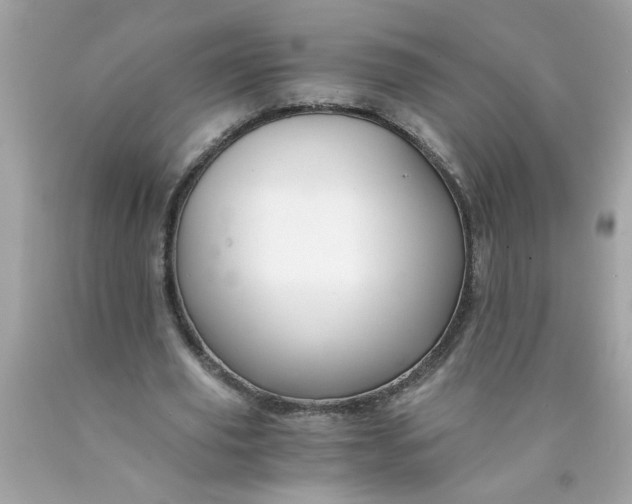 X0000089950629200707201926