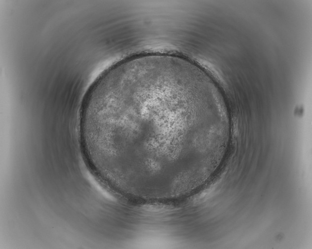 X0000089950630200707201926