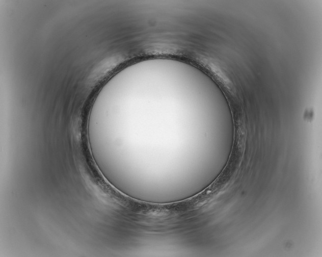 X0000089950631200707201926