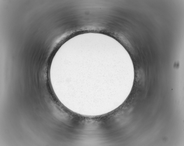 X0000089950632200707201926