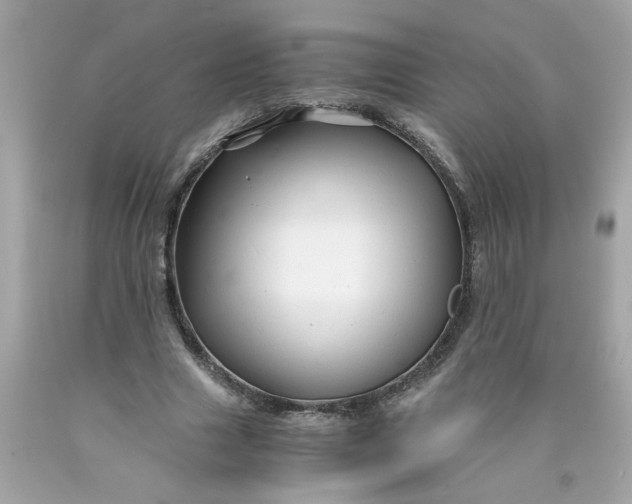 X0000089950633200707201926