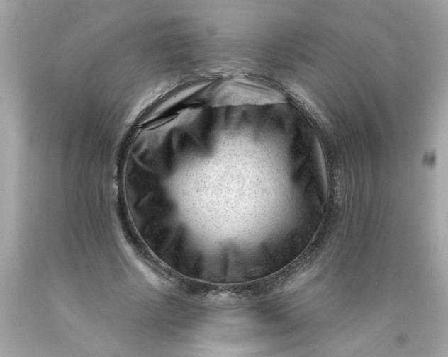 X0000089950634200707201926