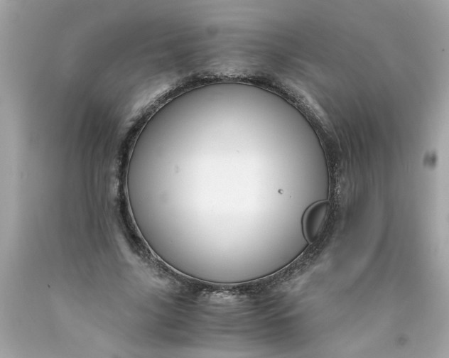 X0000089950635200707201926