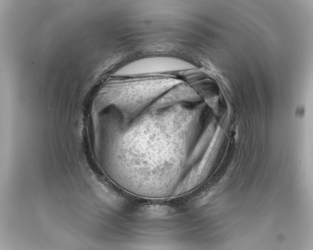 X0000089950637200707201926