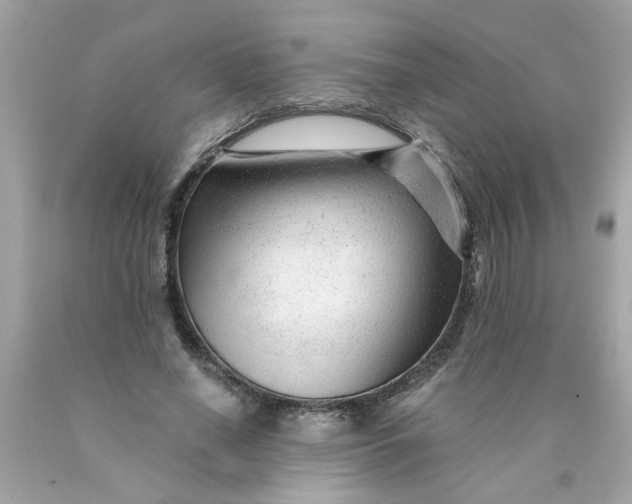 X0000089950638200707201926