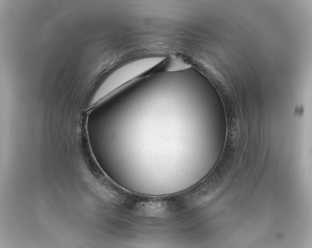 X0000089950639200707201926