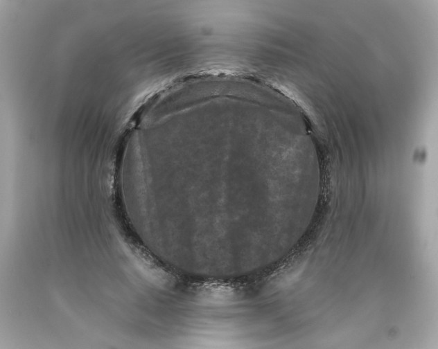 X0000089950640200707201926