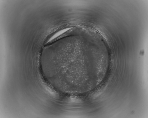 X0000089950641200707201926