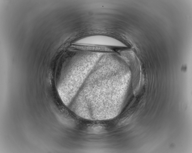 X0000089950643200707201926