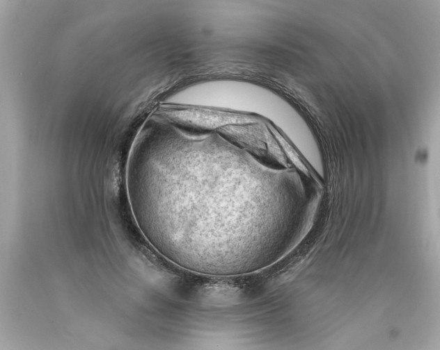 X0000089950644200707201926