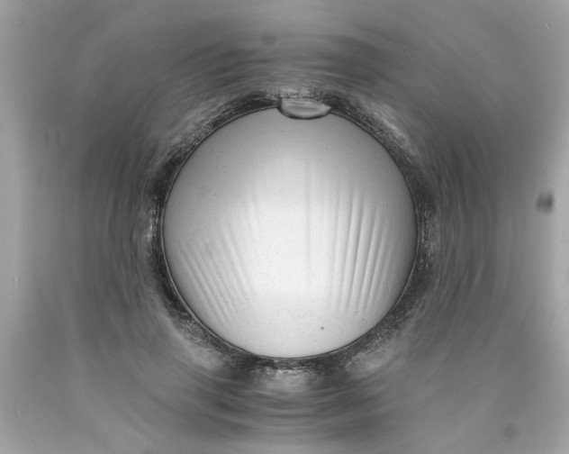 X0000089950645200707201926