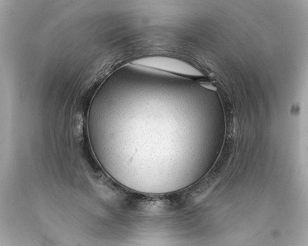 X0000089950646200707201926