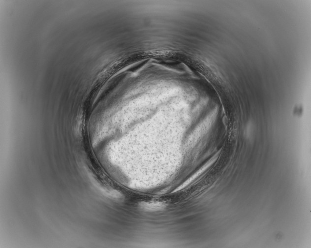 X0000089950647200707201926