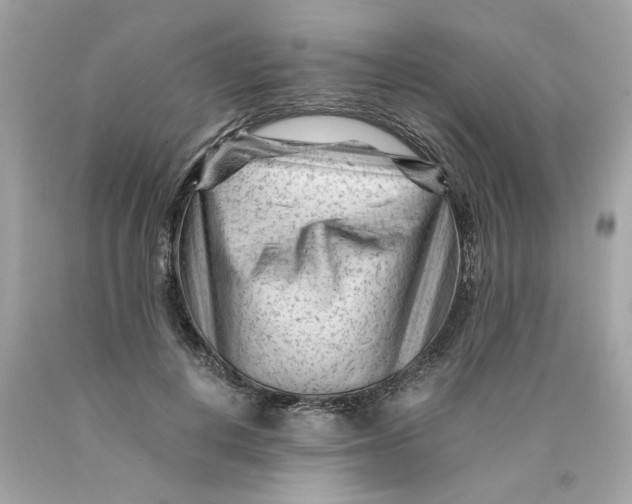 X0000089950648200707201926