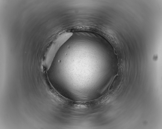 X0000089950649200707201926