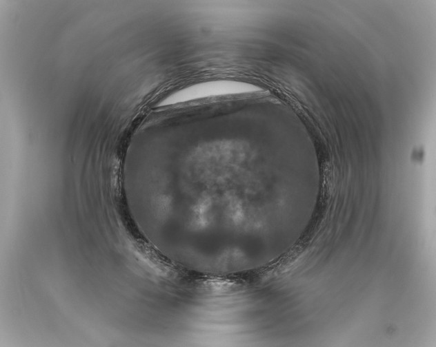 X0000089950650200707201926