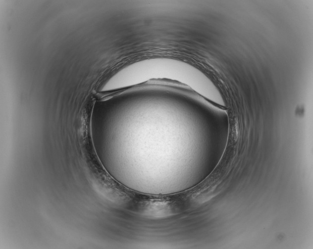 X0000089950651200707201926