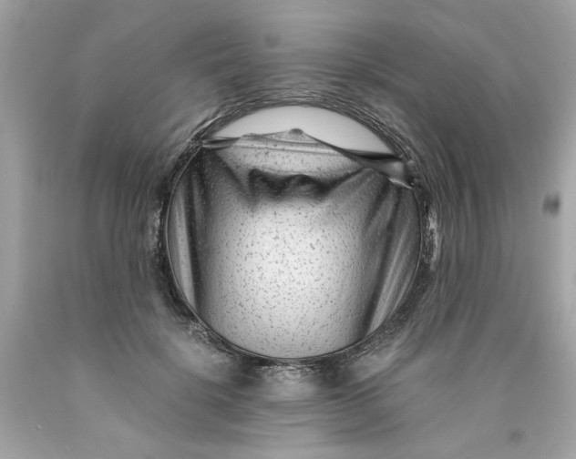 X0000089950652200707201926