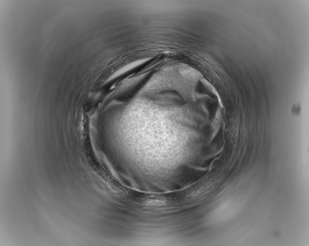 X0000089950653200707201926