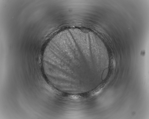 X0000089950654200707201926