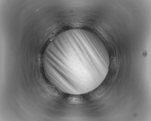 X0000089950655200707201926