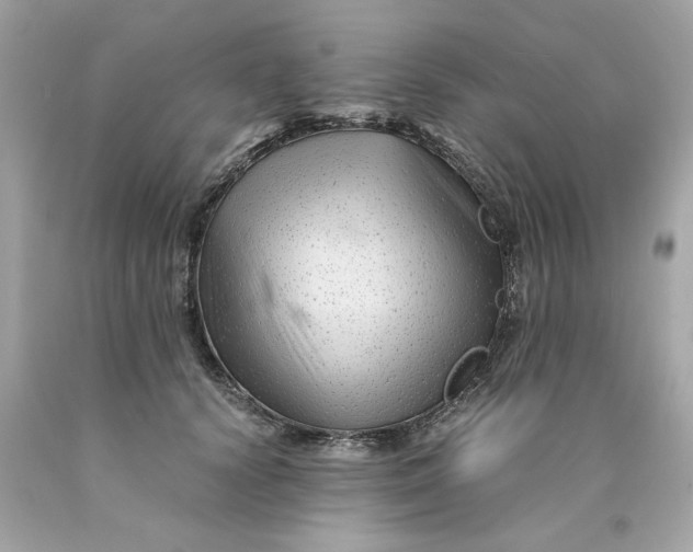 X0000089950656200707201926