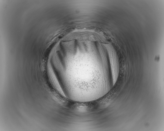 X0000089950658200707201926