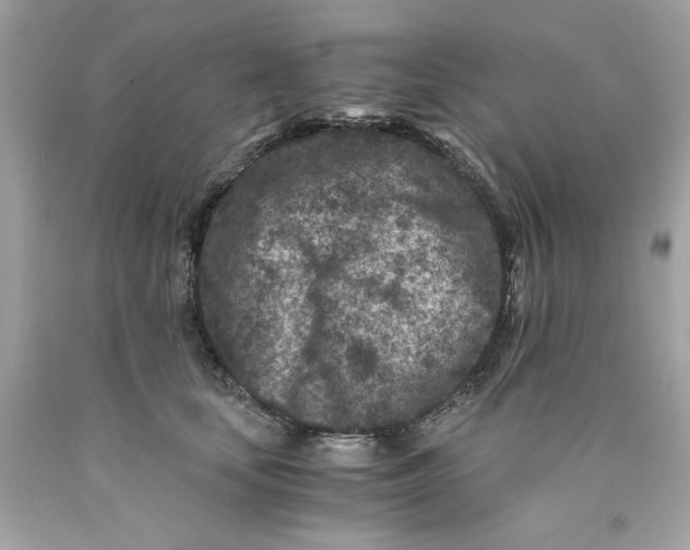 X0000089950659200707201926