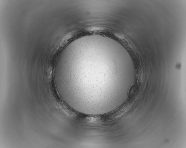 X0000089950660200707201926