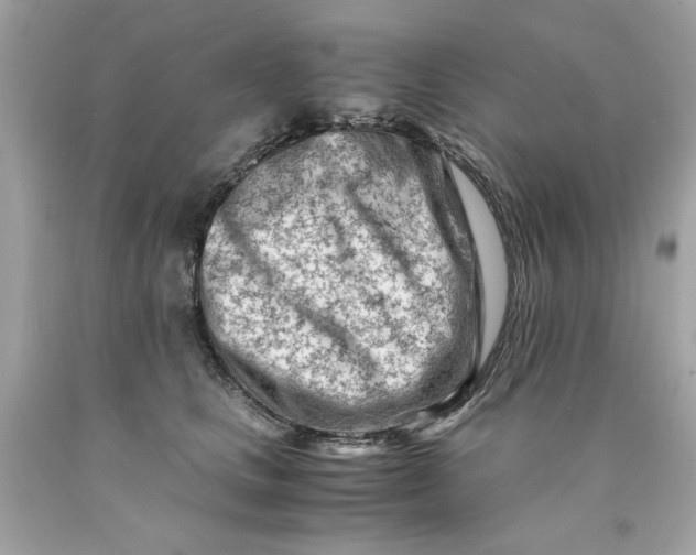 X0000089950661200707201926