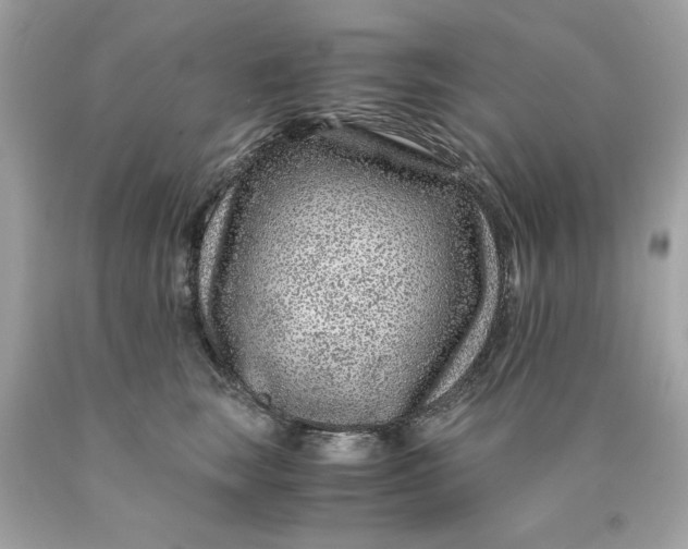 X0000089950663200707201926