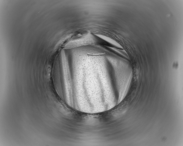 X0000089950664200707201926