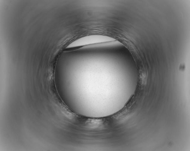 X0000089950665200707201926