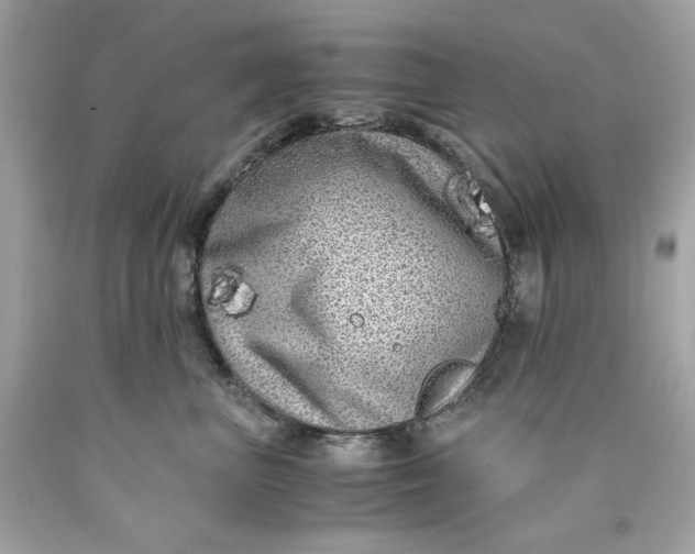 X0000089950667200707201926