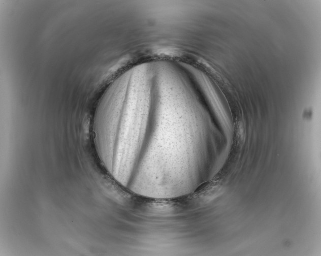 X0000089950668200707201926