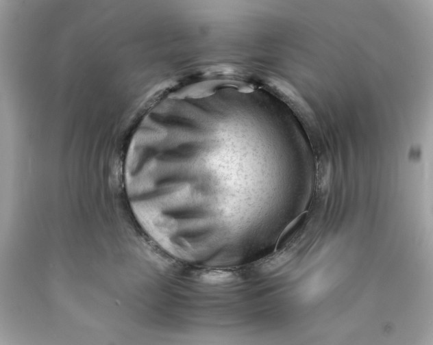 X0000089950669200707201926