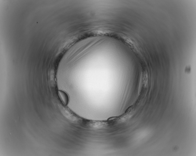 X0000089950670200707201926