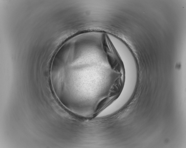 X0000089950673200707201926