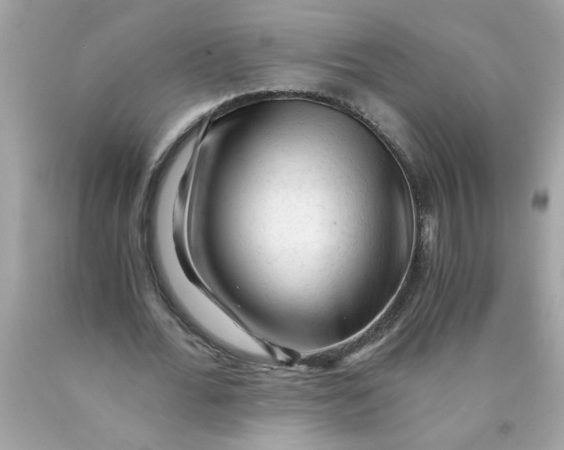 X0000089950676200707201926