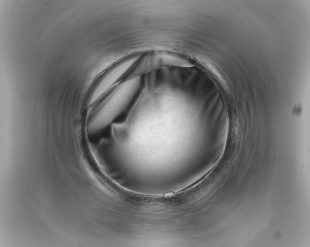 X0000089950677200707201926