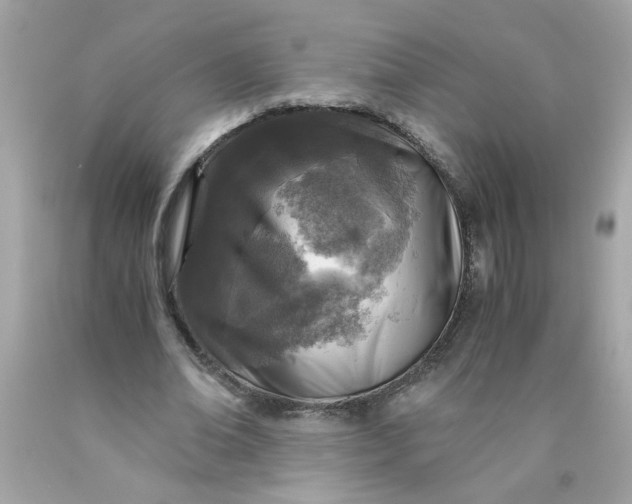 X0000089950678200707201926