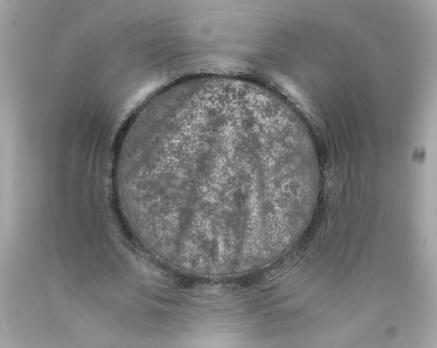 X0000089950679200707201926