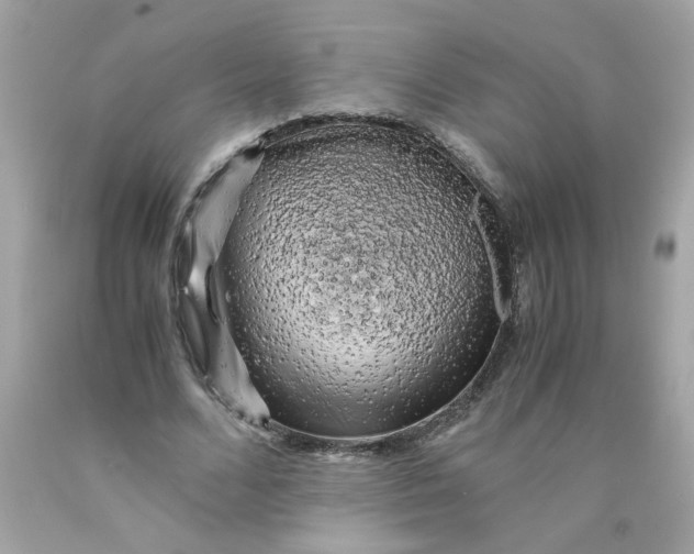 X0000089950680200707201926