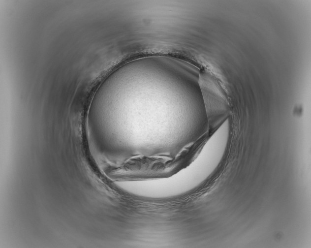 X0000089950681200707201926